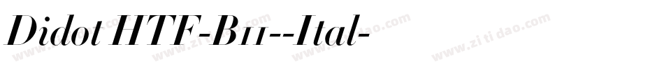 Didot HTF-B11--Ital字体转换
